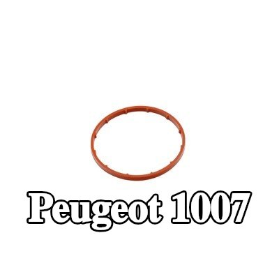 FAST حشية، مضخة تفريغ — Peugeot 1007