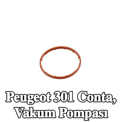 FAST Conta, vakum pompası — 2012 Peugeot 301