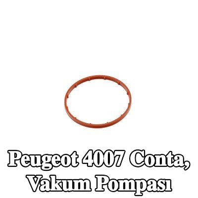 FAST Conta, vakum pompası — Peugeot 4007