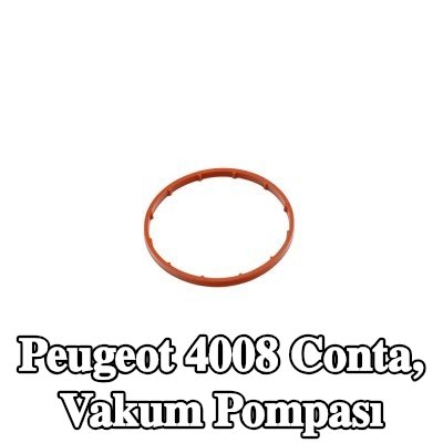 FAST Conta, vakum pompası — Peugeot 4008