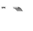 BOSCH Serpantin kayışı 813mm, Number of ribs: 5 — 2002 BMW X5 (2)