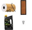 RIDEX PLUS Motor yağı filtre seti — Volkswagen Passat (1)