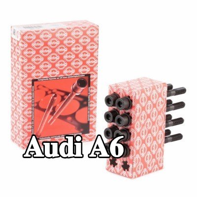 ELRING مجموعة البراغي, رأس الأسطوانة M11x1, 5x137, 5 — 1996 Audi A6