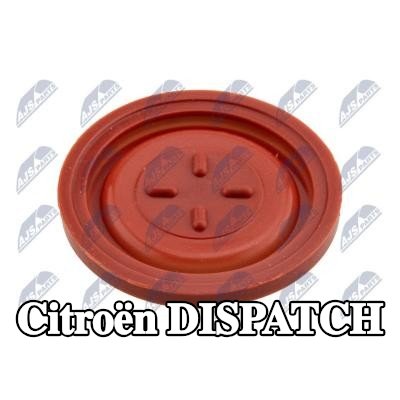 NTY غشاء تنفيس علبة المرافق — 2012 Citroën Dispatch