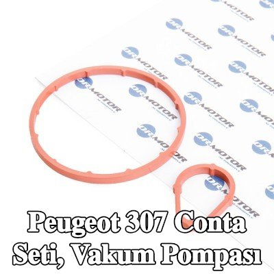 DR.MOTOR AUTOMOTIVE Conta Seti, vakum pompası — 2002 Peugeot 307