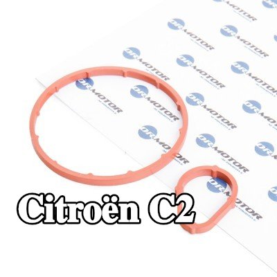 DR.MOTOR AUTOMOTIVE مجموعة مانعات التسرب، مضخة التفريغ — Citroën C2