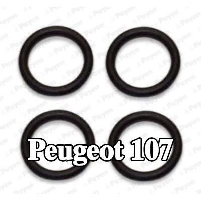 PAYEN مجموعة حشيات، مشعب السحب — Peugeot 107