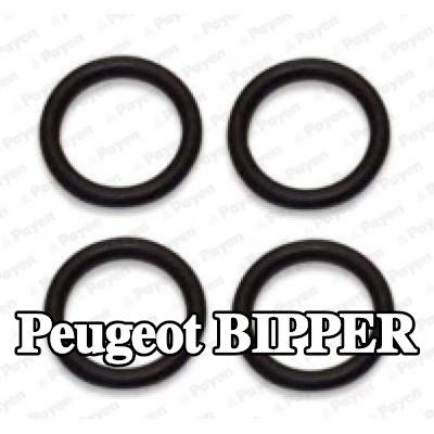 PAYEN مجموعة حشيات، مشعب السحب — Peugeot Bipper