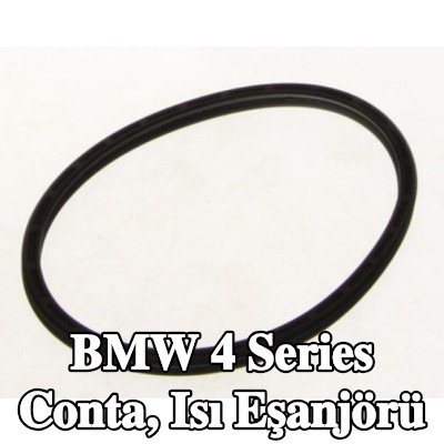 BMW Conta, ısı eşanjörü — 2016 BMW 4 Series
