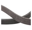 RIDEX PLUS Serpantin kayışı 2460mm, Number of ribs: 6 — Chevrolet C1500 (4)