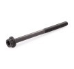 REINZ Cıvata Kiti, silindir kafası M10, 145mm — Land Rover Discovery (3)