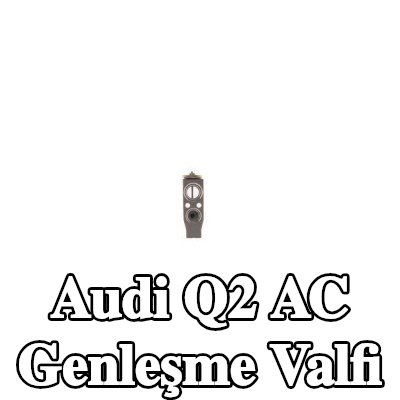 MAHLE AC genleşme valfi — Audi Q2