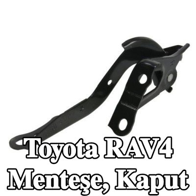 BLIC Menteşe, kaput — Toyota Rav4