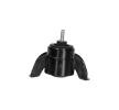 KAVO PARTS Motor yatağı — Kia Cerato (3)