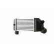MAHLE Intercooler — 2002 Peugeot 307 (6)