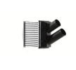 MAHLE Intercooler — 2002 Renault Scénic (6)