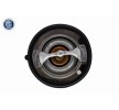 ACKOJA Termostat 82°C, contalı/sızdırmaz — Nissan 300zx (5)