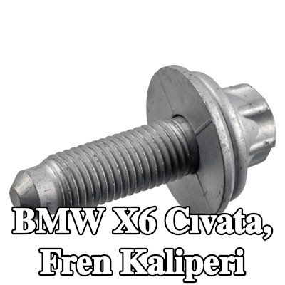 FEBI BILSTEIN Cıvata, fren kaliperi — 2012 BMW X6