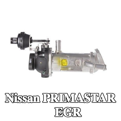 VALEO مبرد EGR بدون صمام EGR, بدون مشبك, ORIGINAL PART — Nissan Primastar