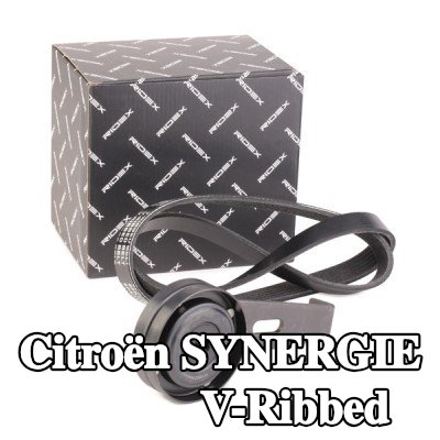 RIDEX مجموعة أحزمة V-Ribbed — 1995 Citroën Synergie