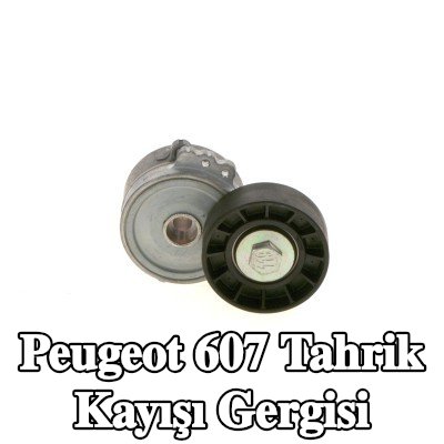 BOSCH Tahrik kayışı gergisi — Peugeot 607