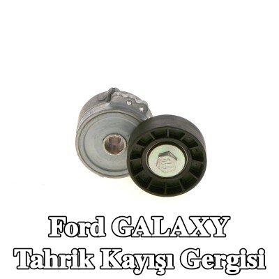 BOSCH Tahrik kayışı gergisi — 2012 Ford Galaxy