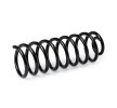 SACHS Helezon yay — Volkswagen Vento (3)