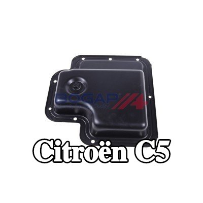 BOGAP أنبوب السحب، فلتر الهواء — 2012 Citroën C5