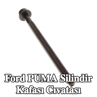 FORD Silindir Kafası Cıvatası — Ford Puma