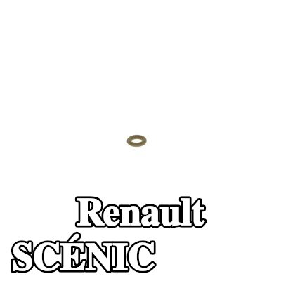 BOSCH حلقة مطاطية — Renault Scénic