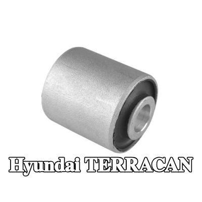 TEDGUM جلبة، ممتص الصدمات — Hyundai Terracan