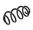 SACHS Helezon yay — Honda Jazz (2)