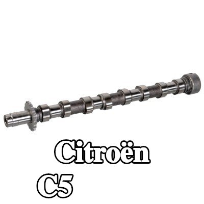 FEBI BILSTEIN عمود الكامات جانب العادم — 2004 Citroën C5