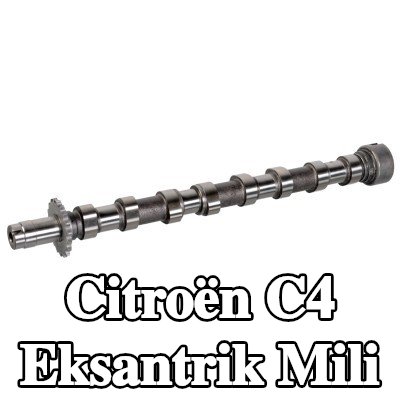 FEBI BILSTEIN Egzoz tarafı eksantrik mili — 2004 Citroën C4