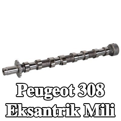 FEBI BILSTEIN Egzoz tarafı eksantrik mili — 2008 Peugeot 308