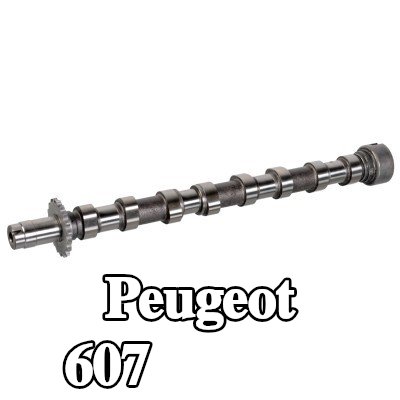 FEBI BILSTEIN عمود الكامات جانب العادم — Peugeot 607
