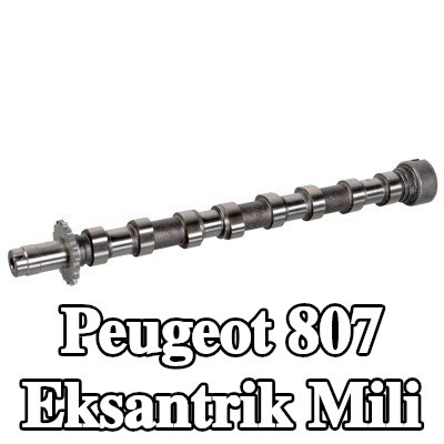 FEBI BILSTEIN Egzoz tarafı eksantrik mili — Peugeot 807