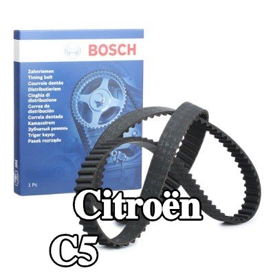 BOSCH عدد أسنان حزام التوقيت: 141, 1343mm — 2012 Citroën C5