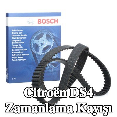 BOSCH Triger Kayışı Diş Sayısı: 141, 1343mm — Citroën Ds4