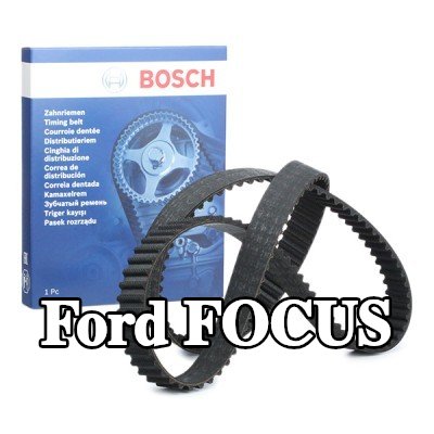 BOSCH عدد أسنان حزام التوقيت: 141, 1343mm — 2016 Ford Focus