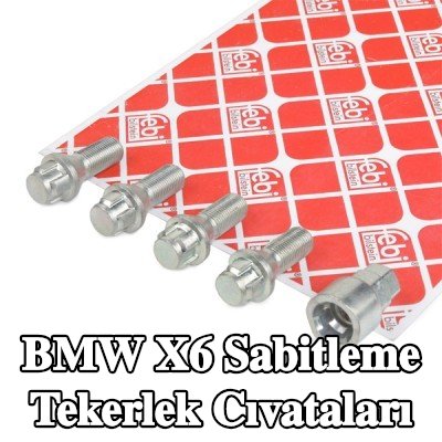 FEBI BILSTEIN Sabitleme tekerlek cıvataları — BMW X6