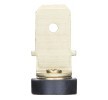 HELLA Sensör, coolant temperature 1/8 GAS — Kia Clarus (2)