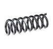 SACHS Helezon yay — 2002 Mercedes-Benz E-Class (2)