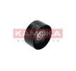 KAMOKA Gergi Kolu, V-oluklu kayış — Nissan Patrol (3)
