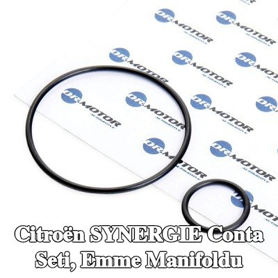 DR.MOTOR AUTOMOTIVE Conta Seti, emme manifoldu — Citroën Synergie