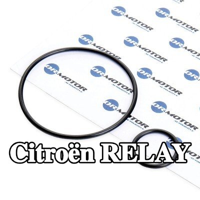 DR.MOTOR AUTOMOTIVE مجموعة حشيات، مشعب السحب — 2000 Citroën Relay
