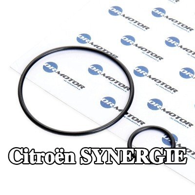 DR.MOTOR AUTOMOTIVE مجموعة حشيات، مشعب السحب — Citroën Synergie