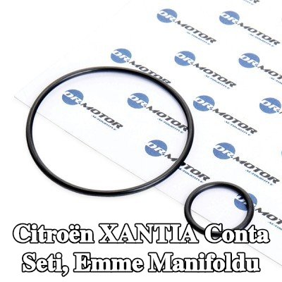 DR.MOTOR AUTOMOTIVE Conta Seti, emme manifoldu — Citroën Xantia
