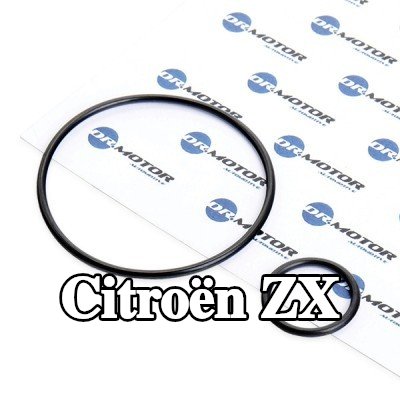 DR.MOTOR AUTOMOTIVE مجموعة حشيات، مشعب السحب — Citroën Zx