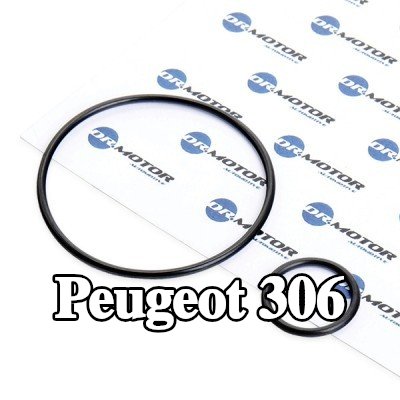 DR.MOTOR AUTOMOTIVE مجموعة حشيات، مشعب السحب — Peugeot 306
